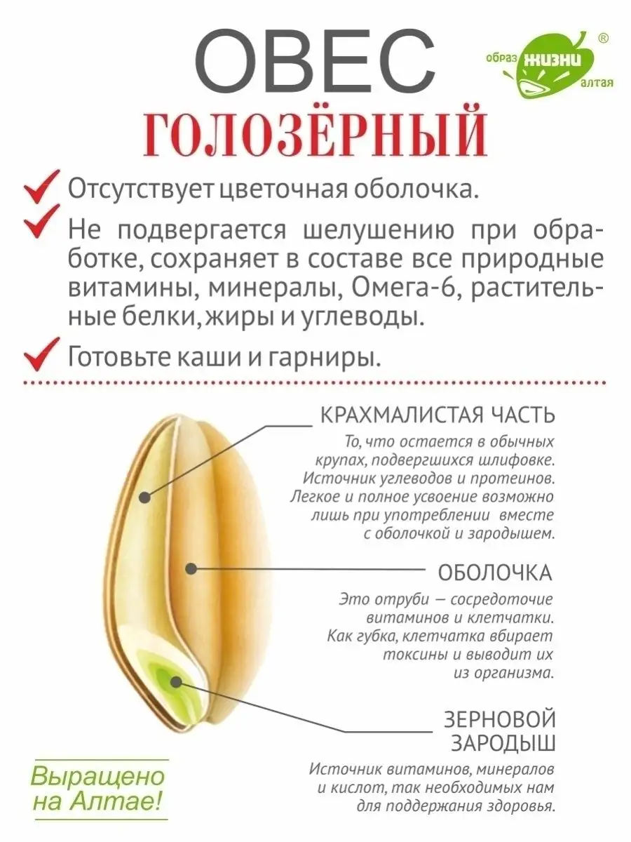 Овес голозерный для овсяной каши и проращивания, 5 кг Образ жизни Алтая  40908025 купить в интернет-магазине Wildberries