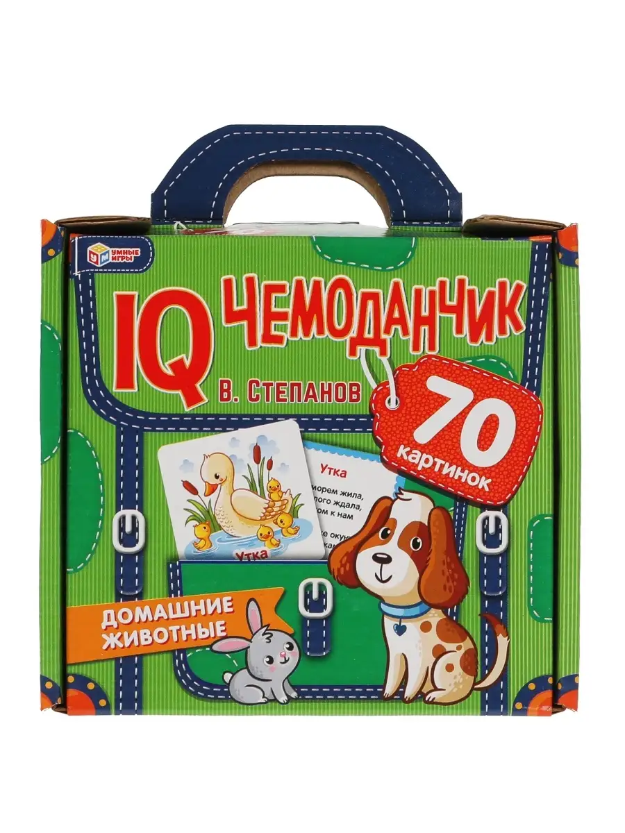 IQ чемоданчик 