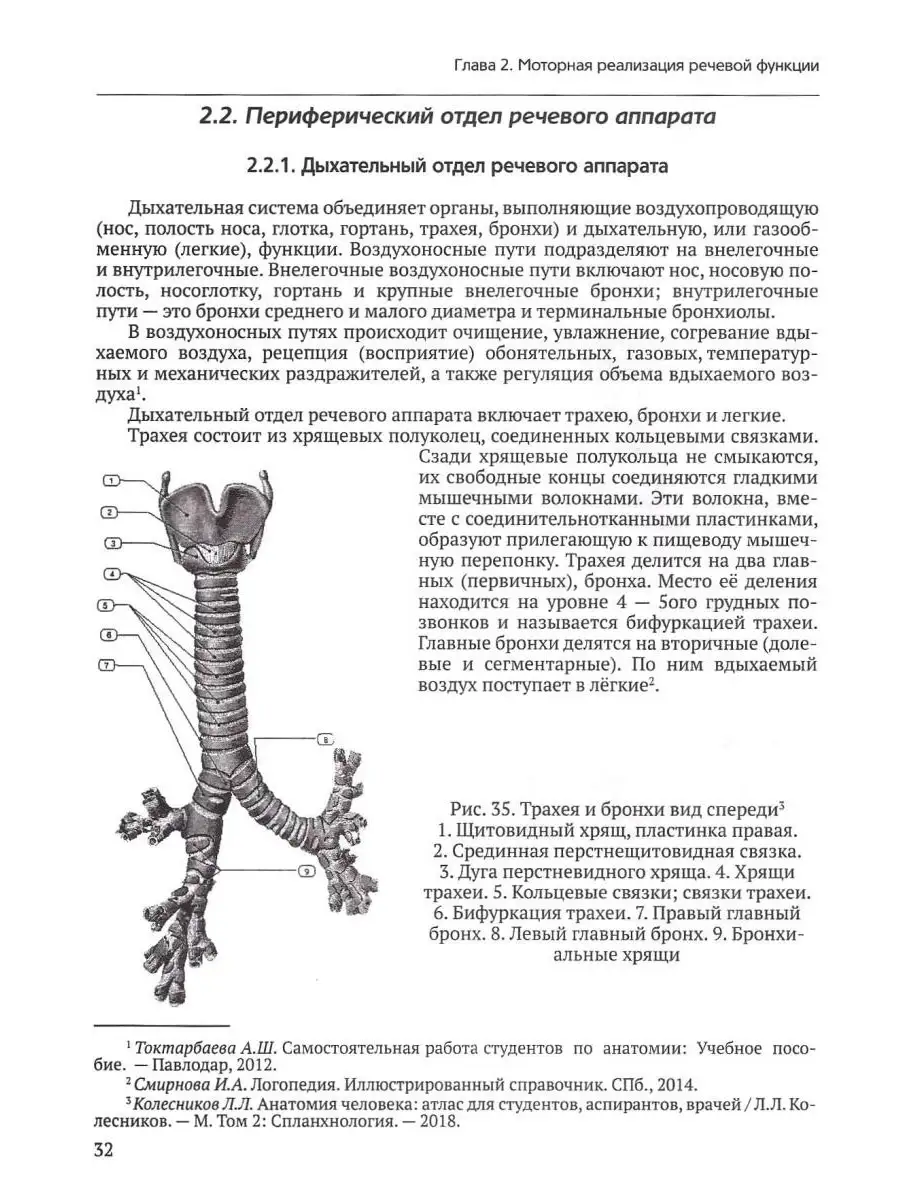 Анатомо-физиологические механизмы речи. Учебник для вузов с практикумом.  Под общей ред. Елецкой О.В. Издательство Владос 40957454 купить за 1 057 ₽  в интернет-магазине Wildberries