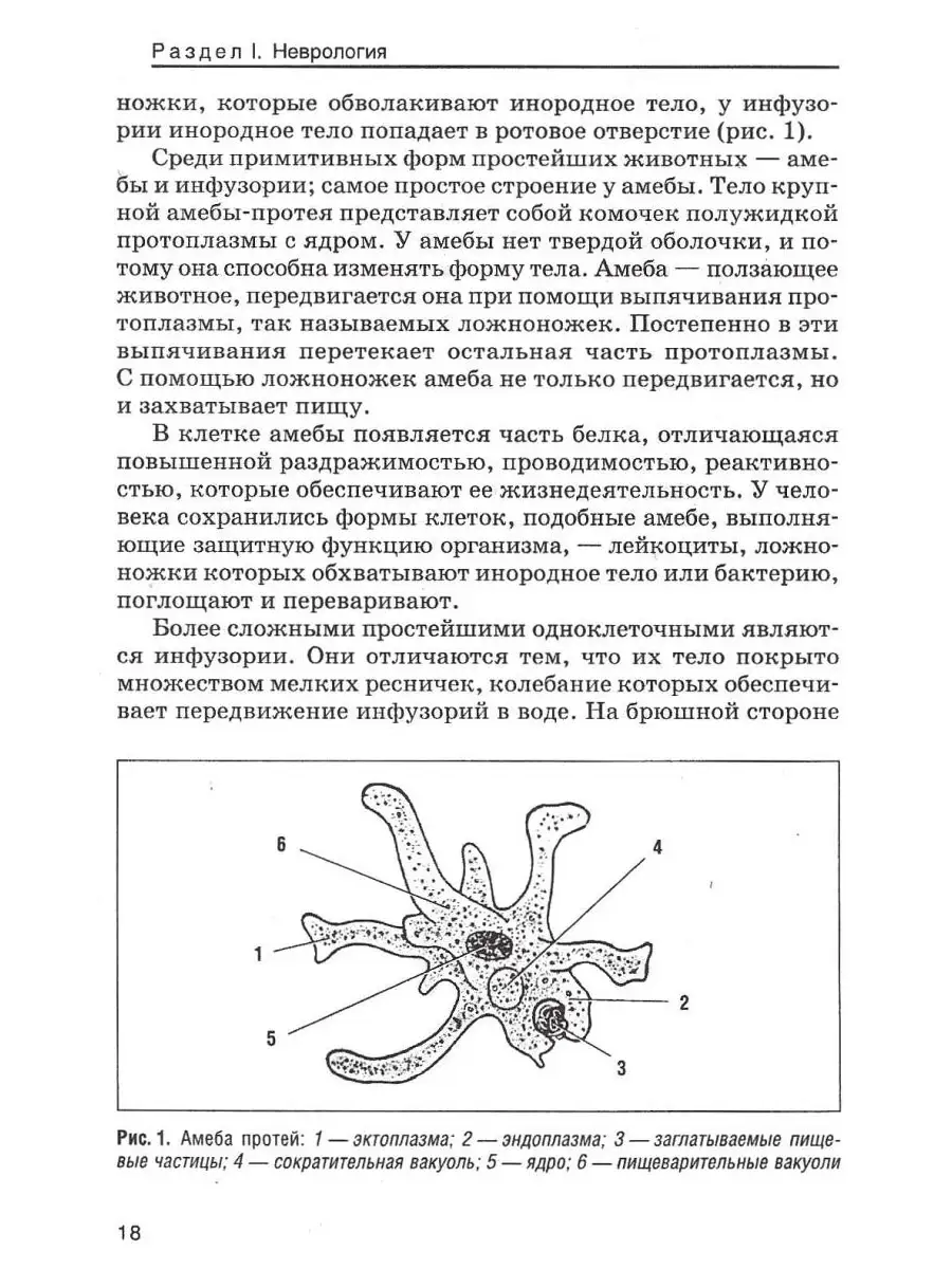 Детская невропатология. Учебник для ССУзов и ВУЗов (бакалавриат). Гуровец  Г.В. Издательство Владос 40965281 купить в интернет-магазине Wildberries