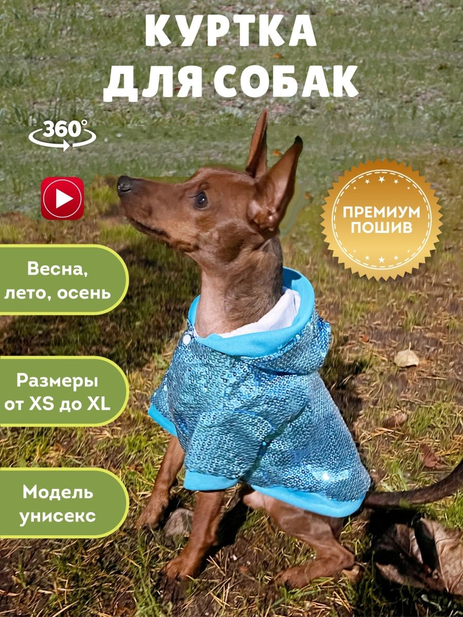 Куртка для собак мелких пород Одежда для животных на весну JOHNNYDOG  40970699 купить за 484 ₽ в интернет-магазине Wildberries