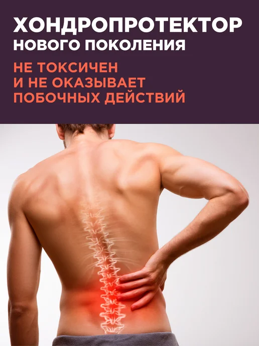 PROTEIN.COMPANY MSM для суставов и связок Хондропротекторы, 250 мл, фото 2