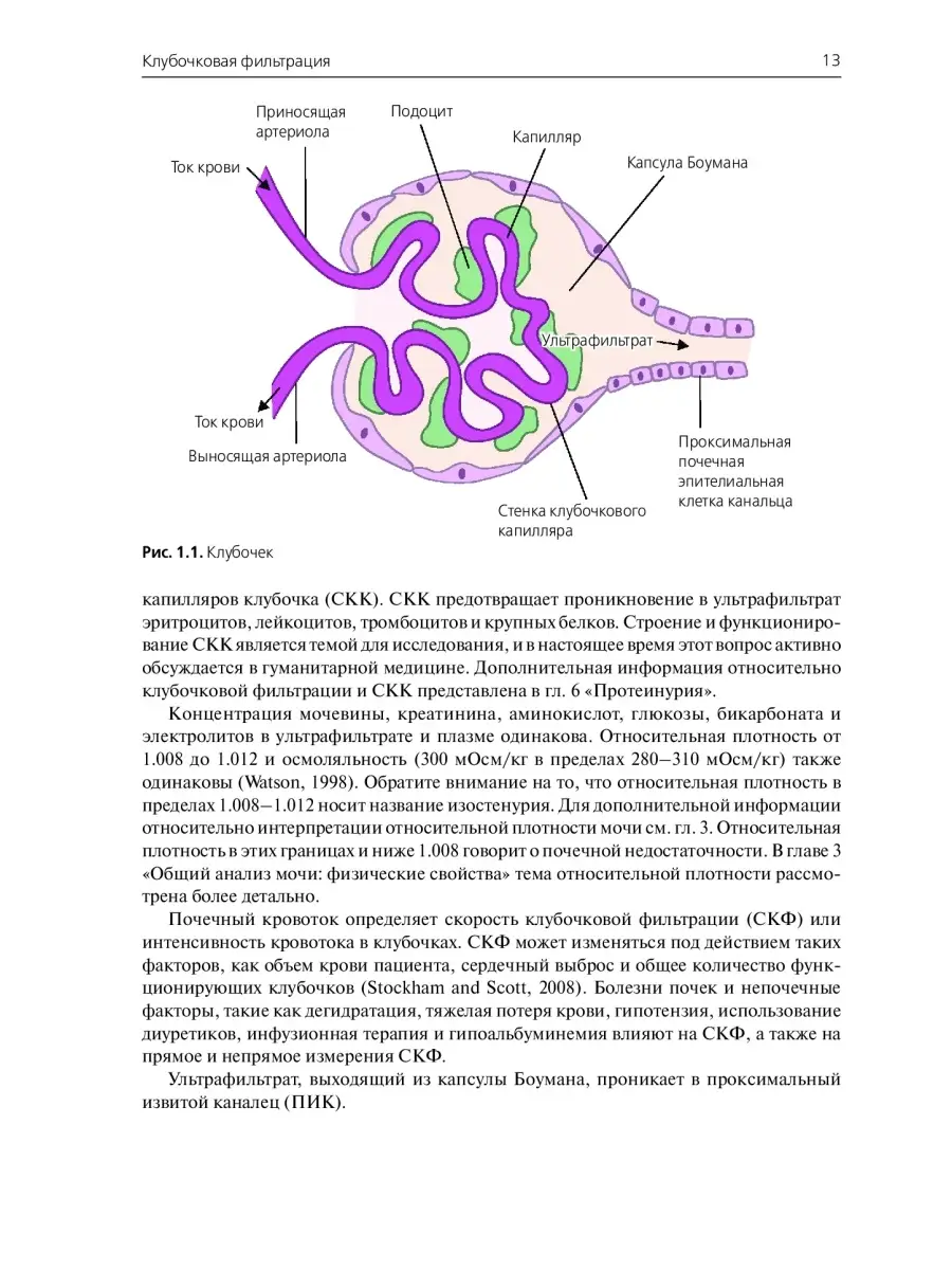 Общий анализ мочи в ветер-ной медицине Издательство Аквариум 41288648  купить за 1 834 ₽ в интернет-магазине Wildberries