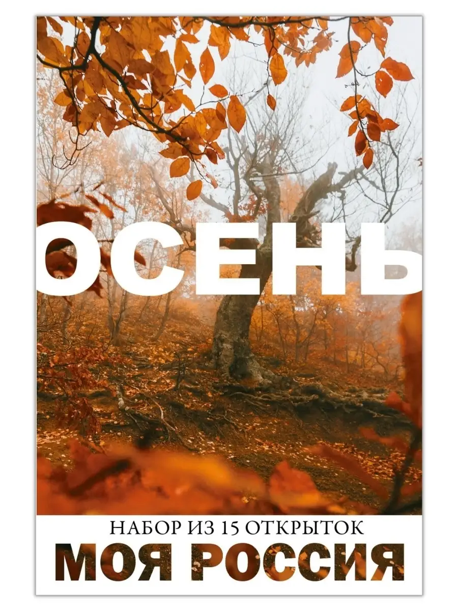 Моя Россия. Осень (выпуск №1) Набор из 15 почтовых открыток Открытки Амели  41357841 купить за 352 ₽ в интернет-магазине Wildberries