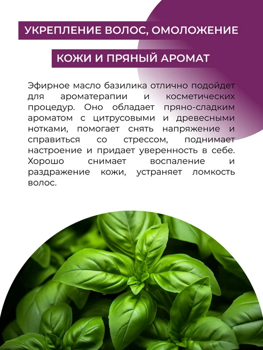 SIBERINA Натуральное эфирное масло базилика, 8 мл, фото 4