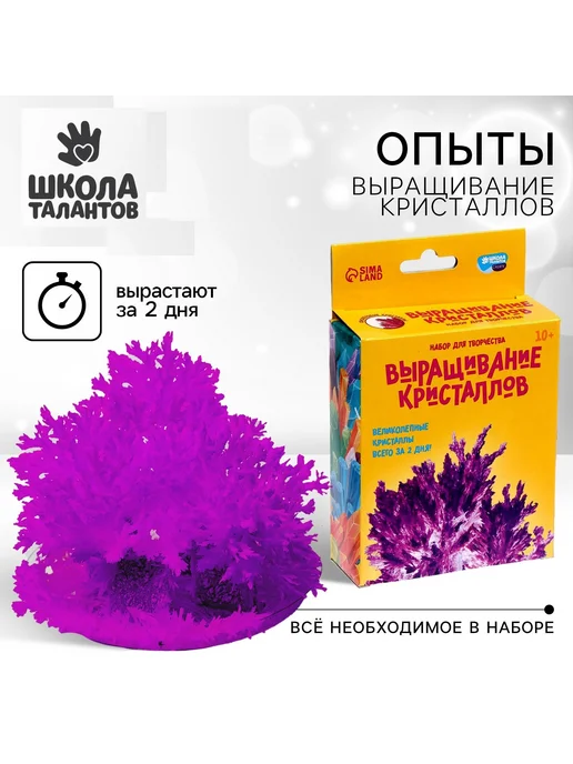 Школа талантов Набор для творчества опыты Лучистые кристаллы, белый