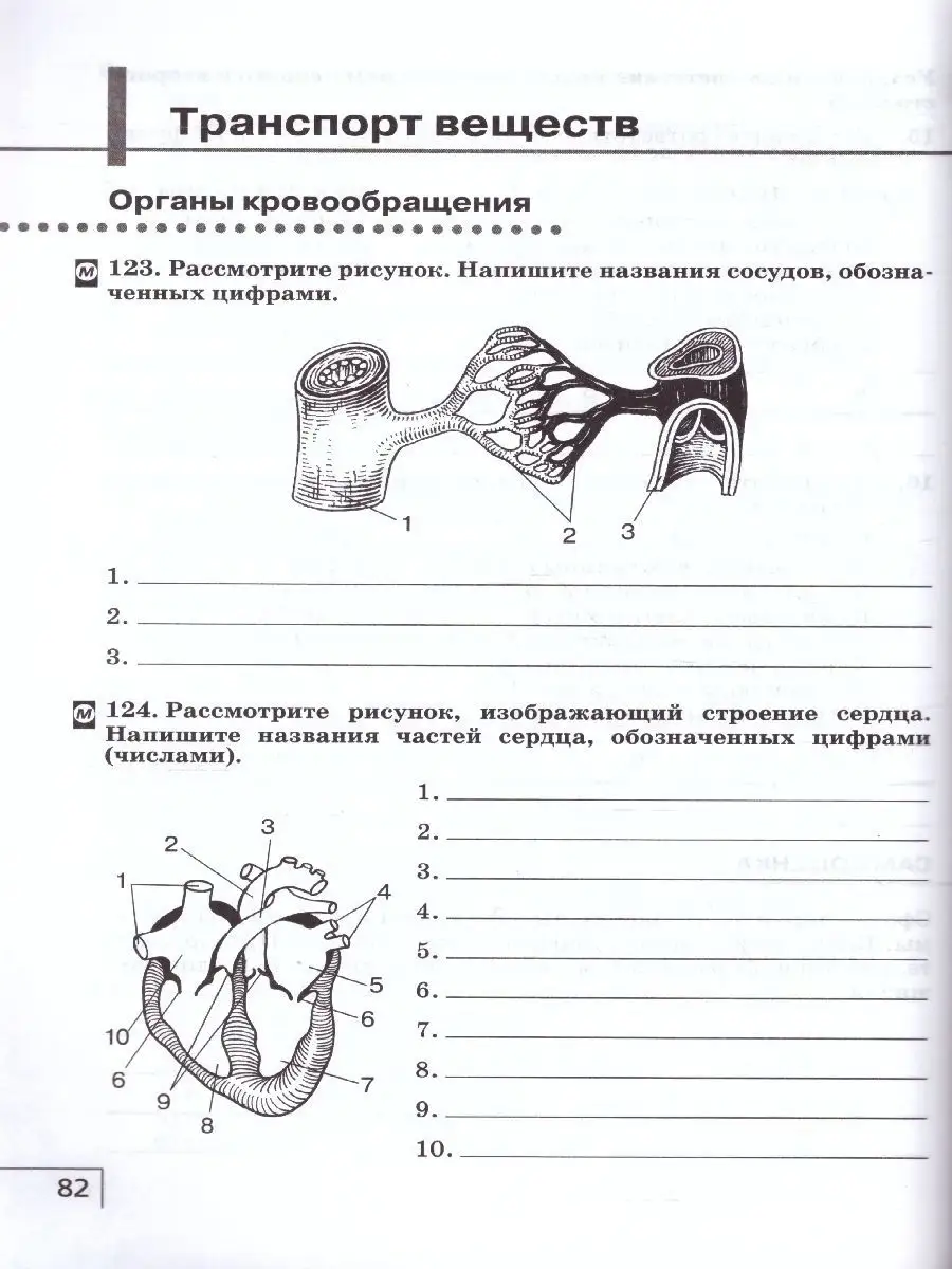 Биология 8 класс. Рабочая тетрадь. Вертикаль. ФГОС Просвещение 41499133  купить за 430 ₽ в интернет-магазине Wildberries