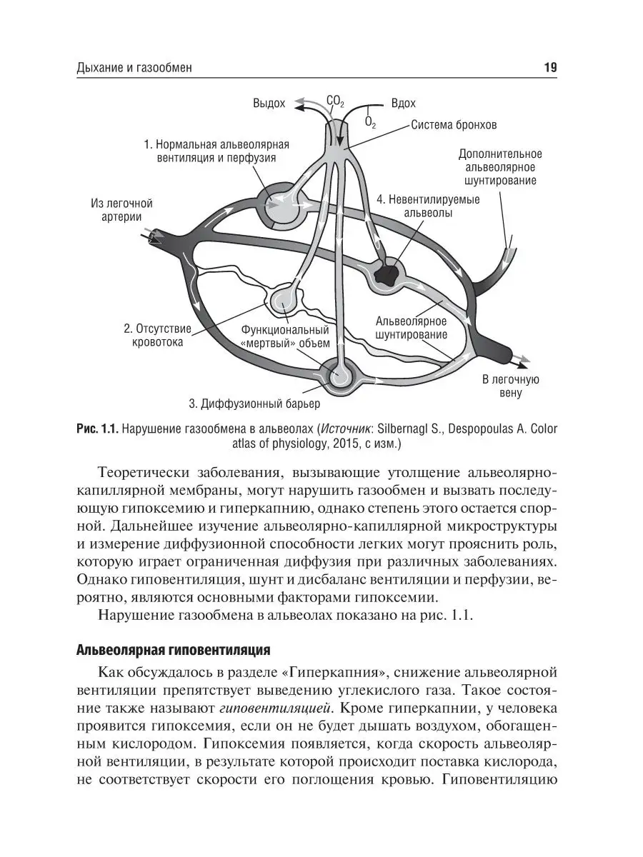 Основные концепции сестринского ухода. Учебник ГЭОТАР-Медиа 41627742 купить  в интернет-магазине Wildberries