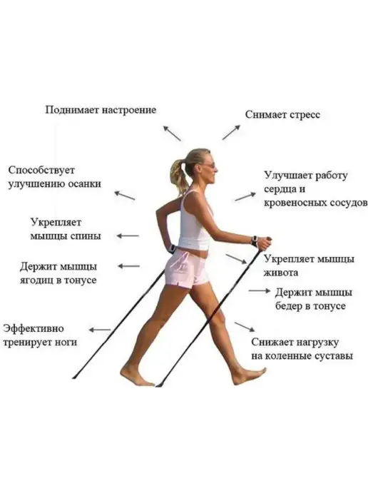 Медтехно Палки для скандинавской ходьбы, черный, фото 2