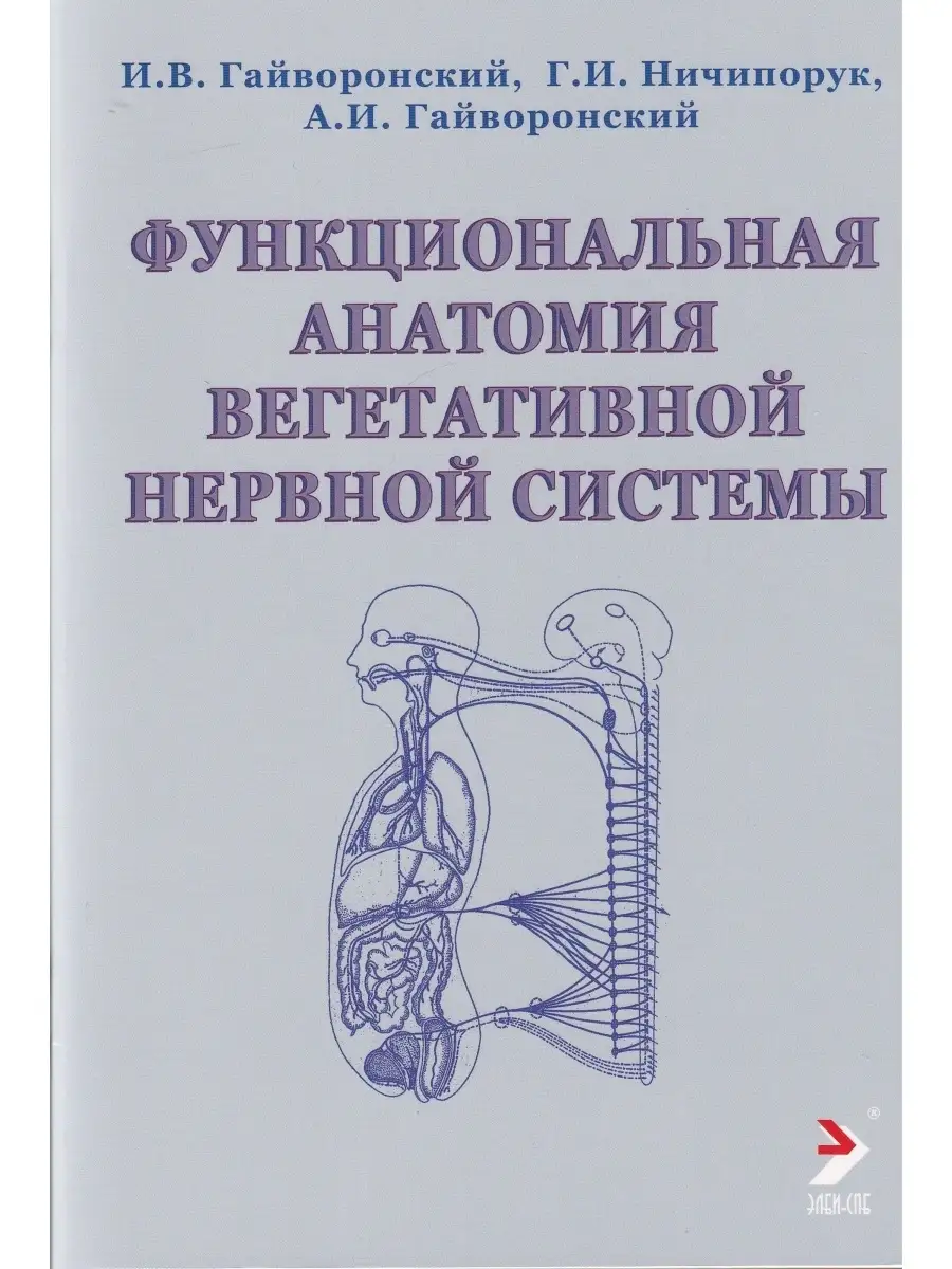 Функциональная анатомия вегетативной нервной системы