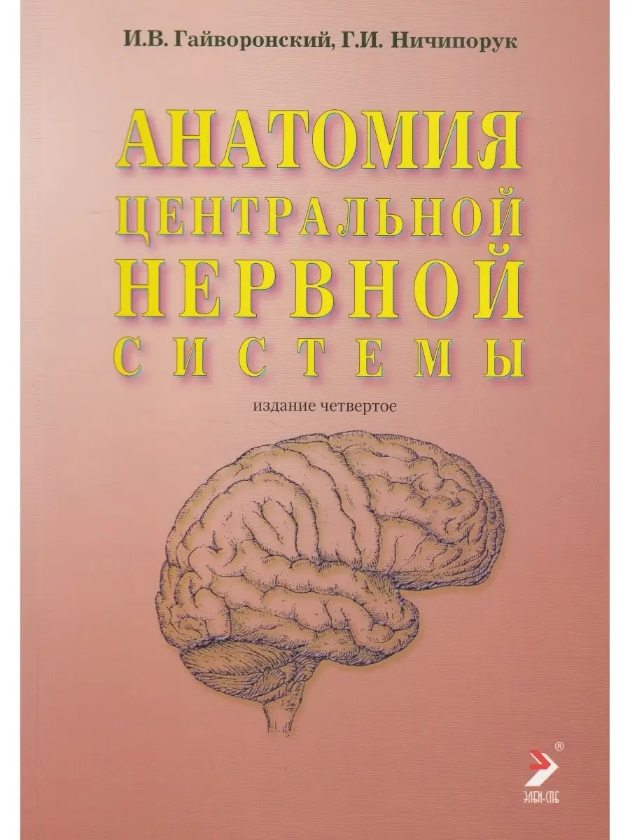 Анатомия центральной нервной системы. 17-е издание