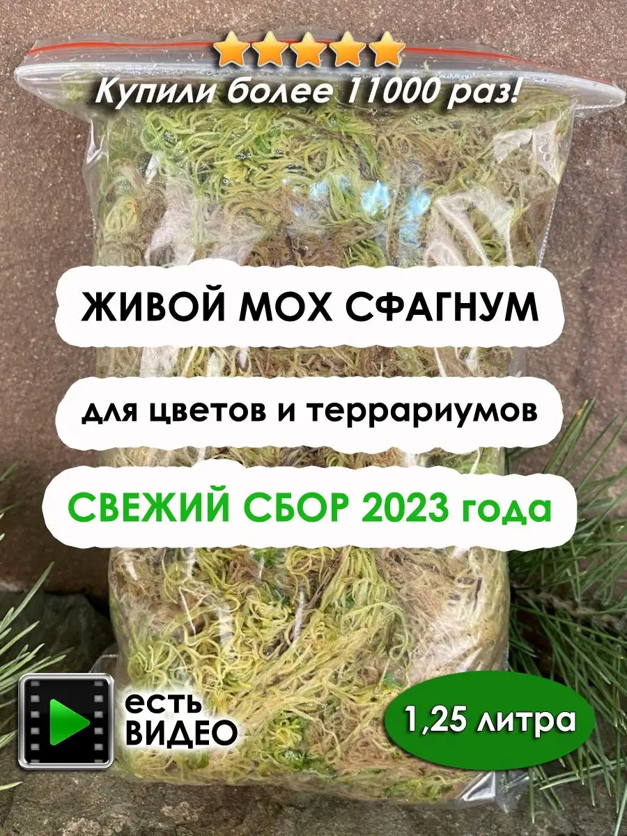 Живой мох сфагнум 1,25л, упаковка 2023 г. МоховичОК 41762417 купить за 182  ₽ в интернет-магазине Wildberries