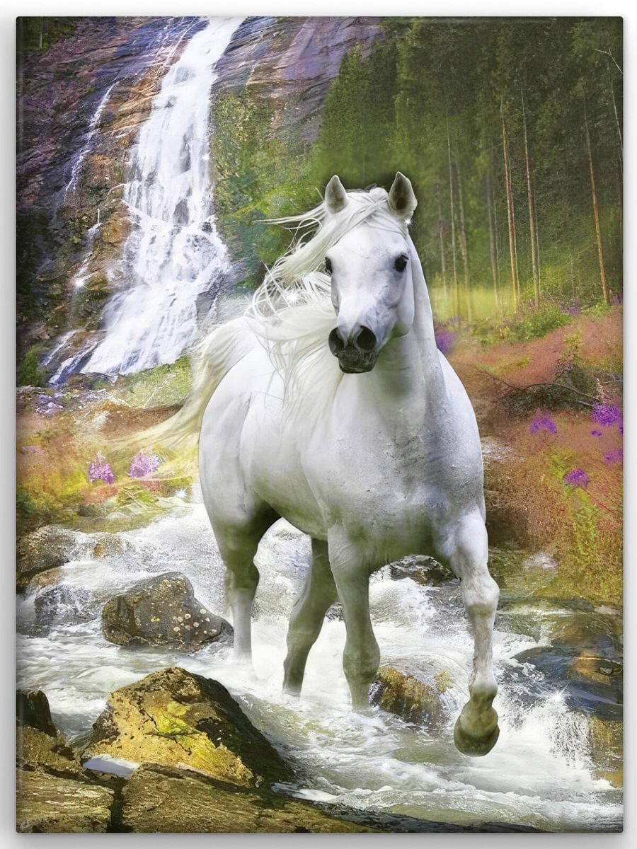 Картинки лошадей на заставку. Красивые лошади. Очень красивые лошади. Белая лошадь. Лошади на природе.