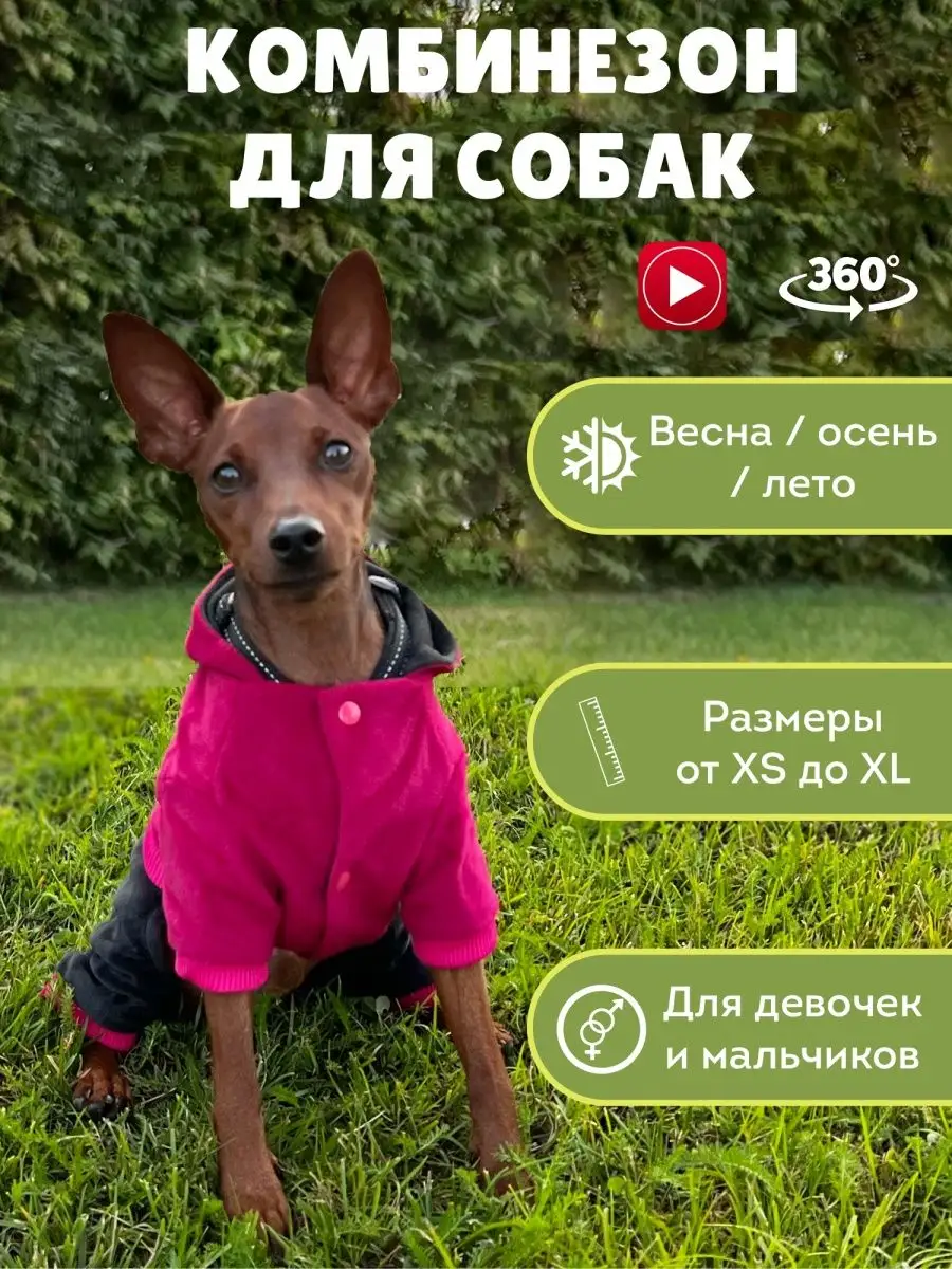 Домашняя одежда Комбинезон для собак мелких пород на весну JOHNNYDOG  41931399 купить в интернет-магазине Wildberries