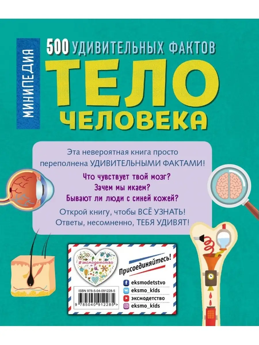 Тело человека. 500 удивительных фактов Эксмо 41957124 купить за 793 ₽ в  интернет-магазине Wildberries