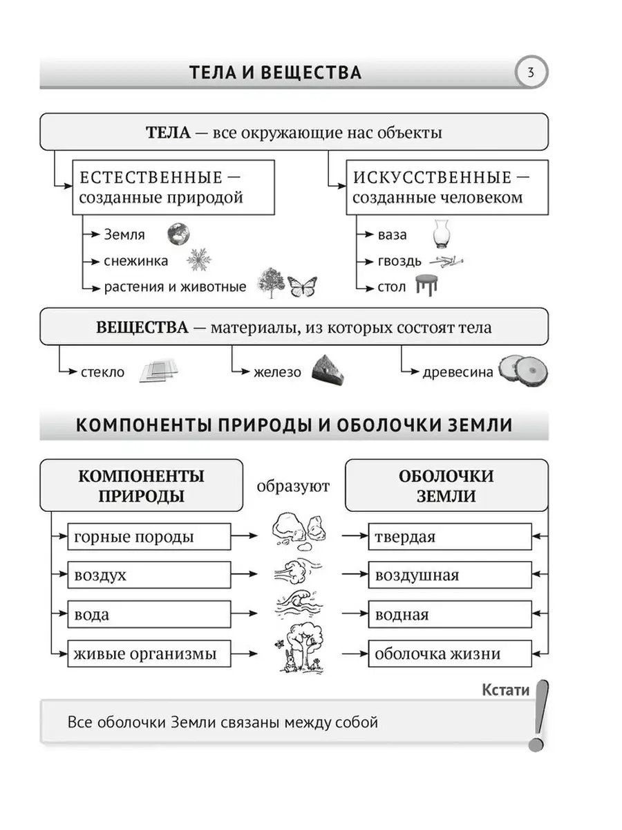 Человек и мир. 5 класс. Опорные конспекты, схемы и таблицы Аверсэв 41995797  купить в интернет-магазине Wildberries