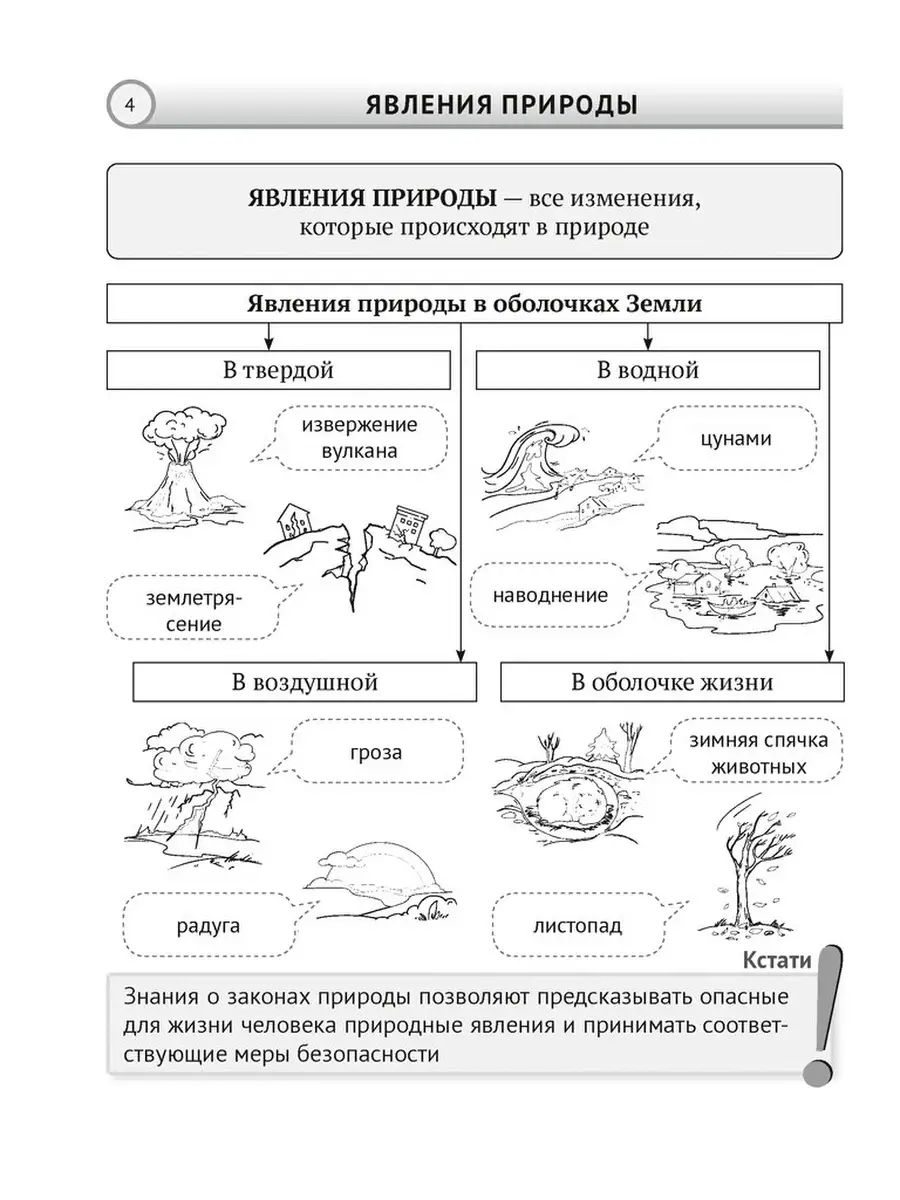 Человек и мир. 5 класс. Опорные конспекты, схемы и таблицы Аверсэв 41995797  купить в интернет-магазине Wildberries