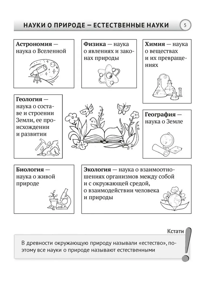 Человек и мир. 5 класс. Опорные конспекты, схемы и таблицы Аверсэв 41995797  купить в интернет-магазине Wildberries