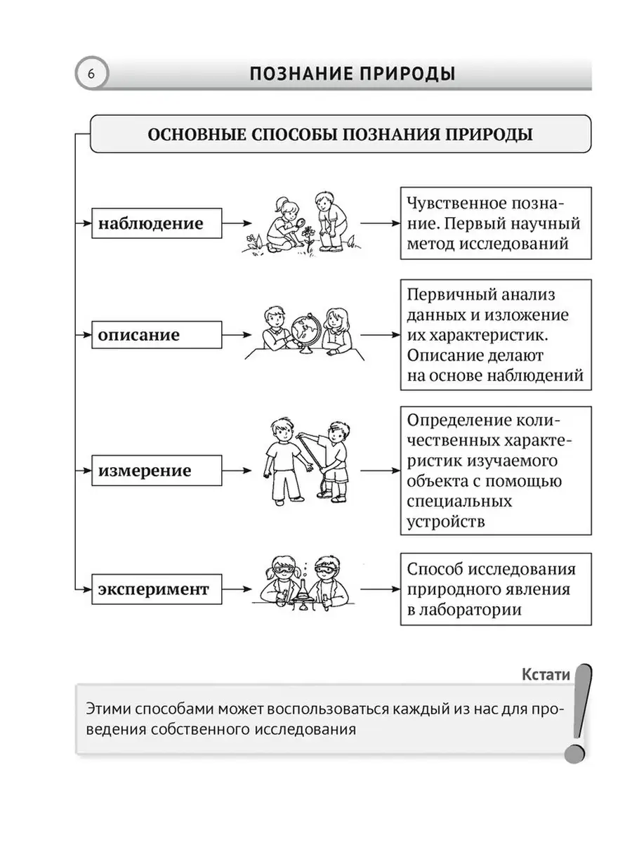 Человек и мир. 5 класс. Опорные конспекты, схемы и таблицы Аверсэв 41995797  купить в интернет-магазине Wildberries