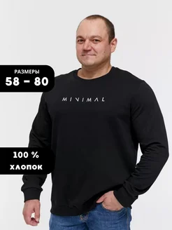 Свитшот мужской большие размеры с принтом MR BIGMAN 42051568 купить за 1 374 ₽ в интернет-магазине Wildberries