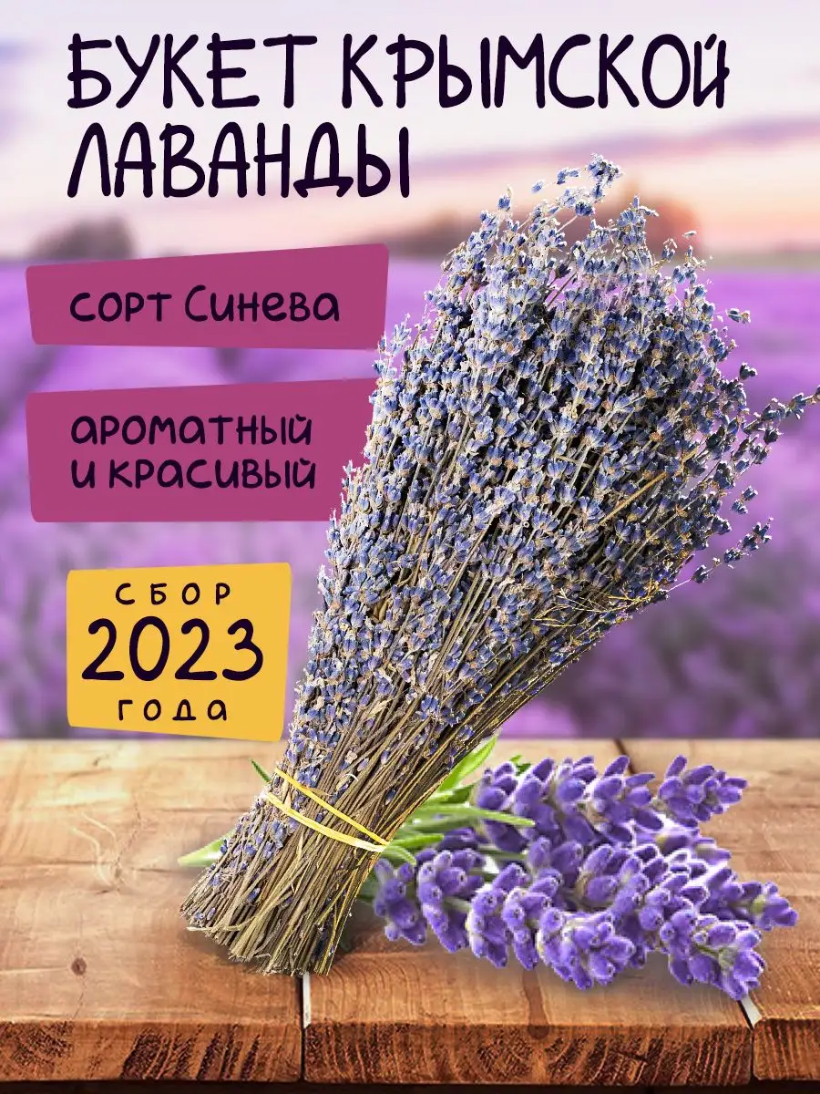 Сухоцветы лаванда для рукоделия букет сухой Травинский 42091011 купить в  интернет-магазине Wildberries