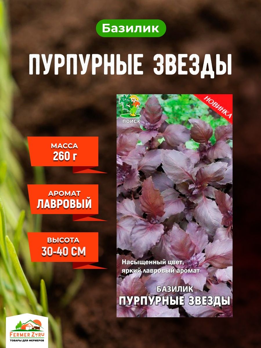 Семена поиск отзывы. Базилик овощной Арарат. Семена поиск базилик овощной пурпурные звезды 0.1 г. Базилик овощной пурпурные звезды посев семян в открытый грунт. Базилик Гурман мятный 0,1 г.