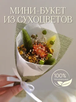 Букет из сухоцветов Little Garden 42126452 купить за 318 ₽ в интернет-магазине Wildberries