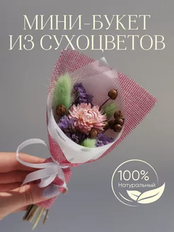 Букет из сухоцветов Little Garden 42126453 купить за 293 ₽ в интернет-магазине Wildberries