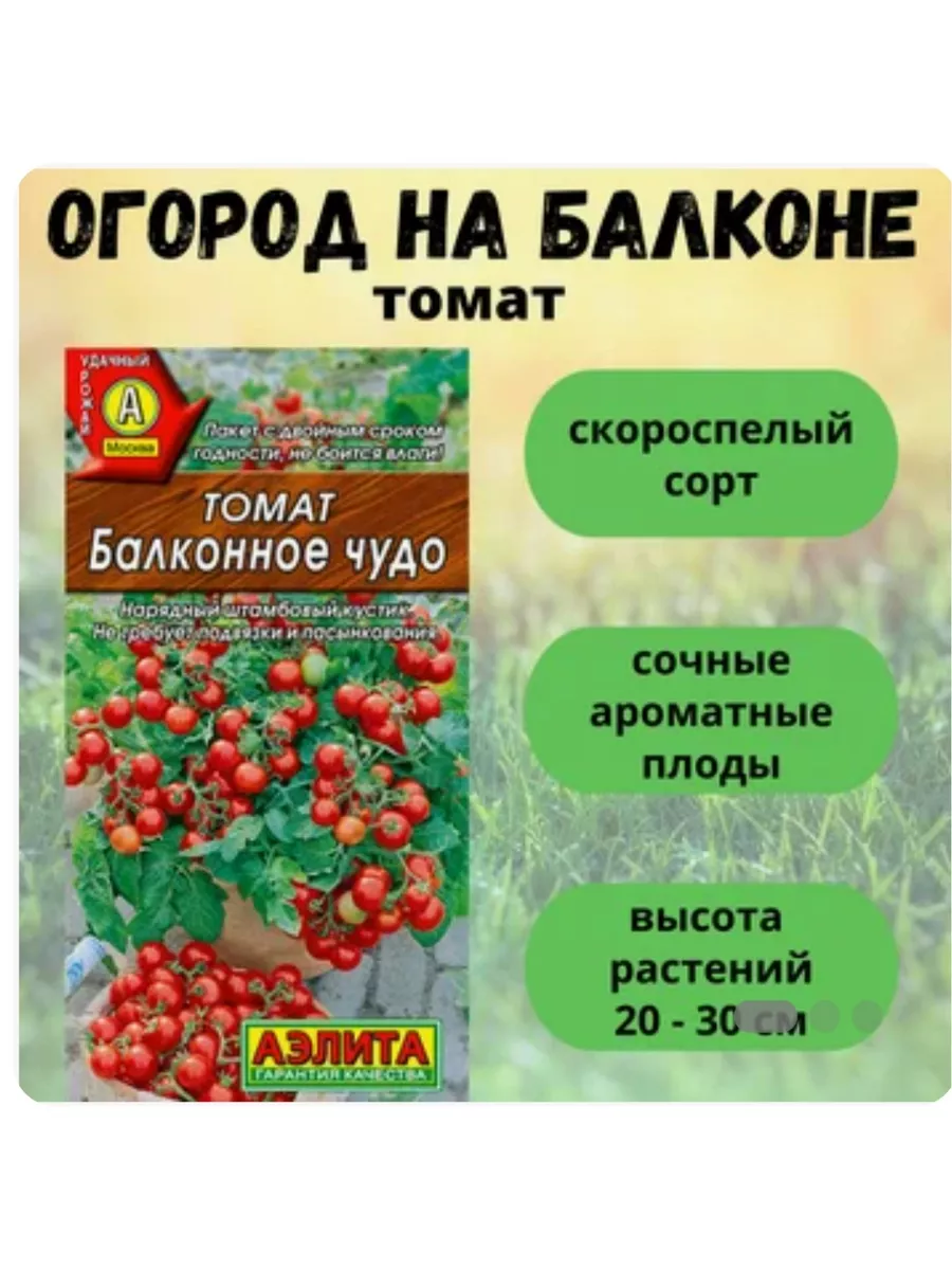 Семена томат балконное чудо ЮТа-Семена 42172719 купить за 108 ₽ в  интернет-магазине Wildberries