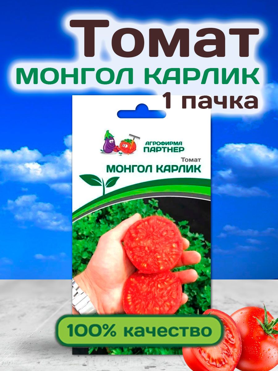 Монгол карлик партнер