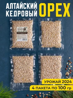 Орехи кедровые очищенные Продукты Здоровое питание ПП еда Сила кедра 42204306 купить за 1 563 ₽ в интернет-магазине Wildberries