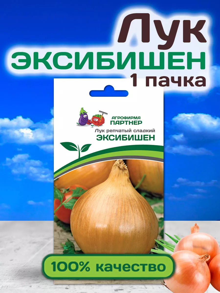 Семена Лука Эксибишен...