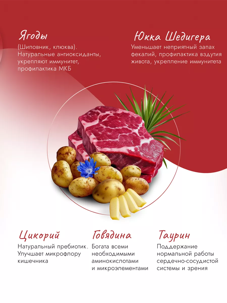 Корм для котят сухой Best Dinner 42279326 купить за 7 621 ₽ в  интернет-магазине Wildberries