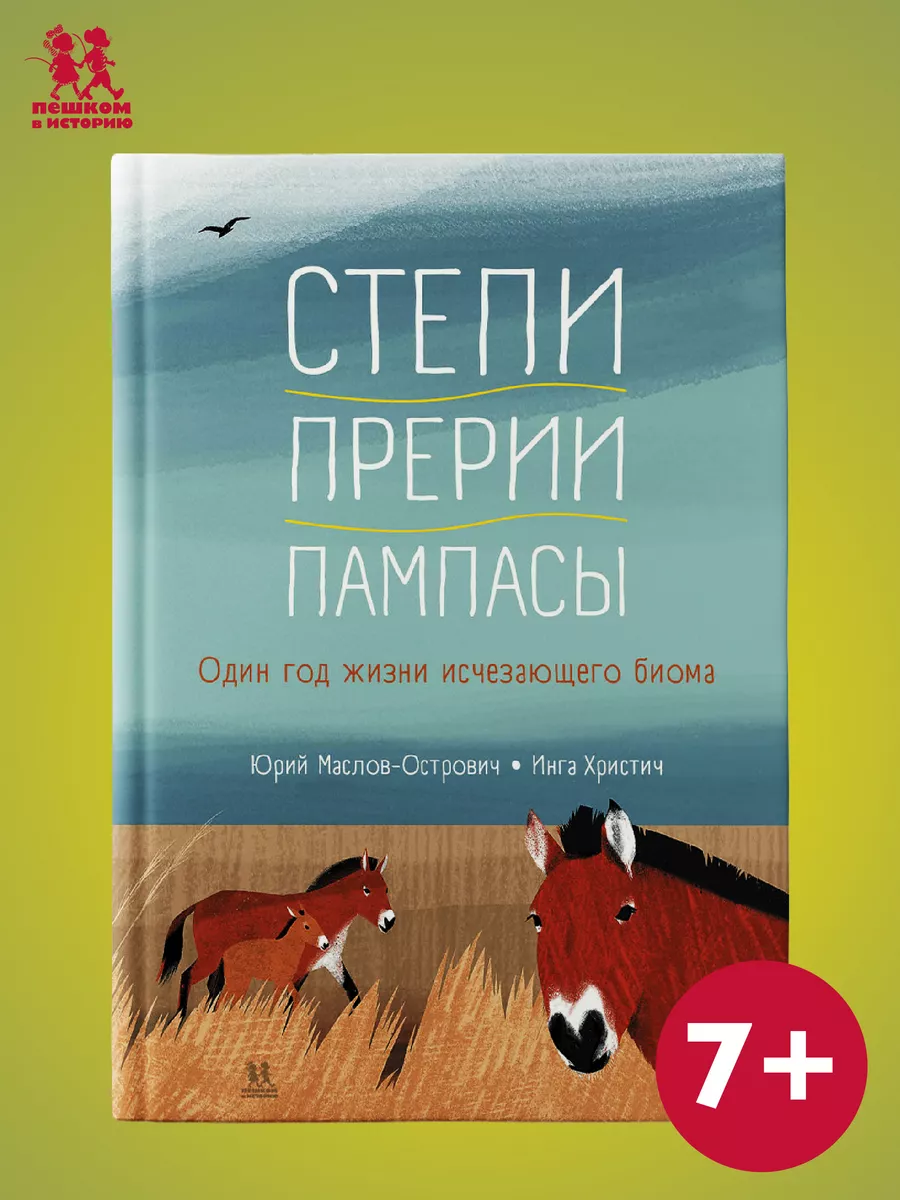 Степи, прерии, пампасы ПЕШКОМ В ИСТОРИЮ 42329264 купить в интернет-магазине  Wildberries