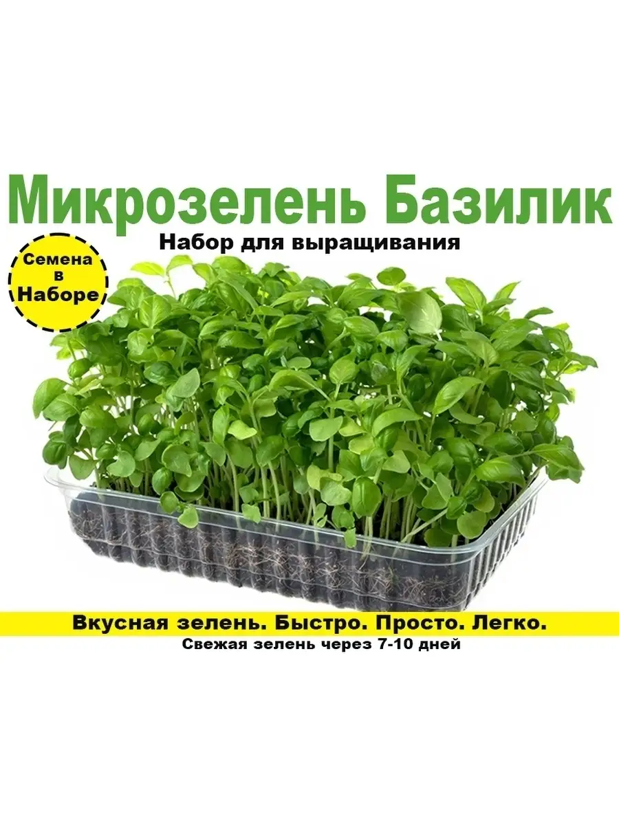 Где Купить Семена Микрозелени Бюджетно Отзывы