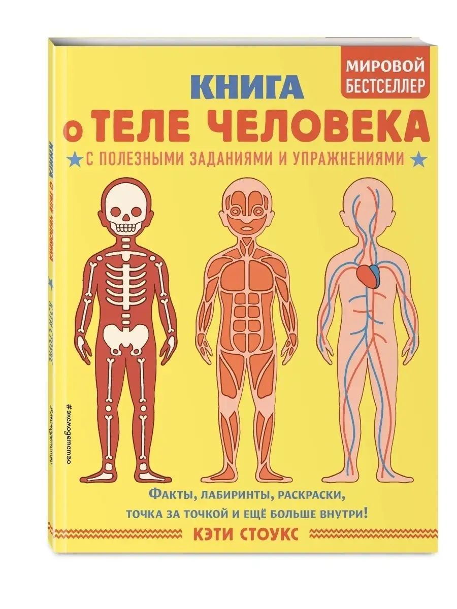 Книга о теле человека с полезными заданиями и упражнениями Эксмо 42484829  купить за 153 ₽ в интернет-магазине Wildberries