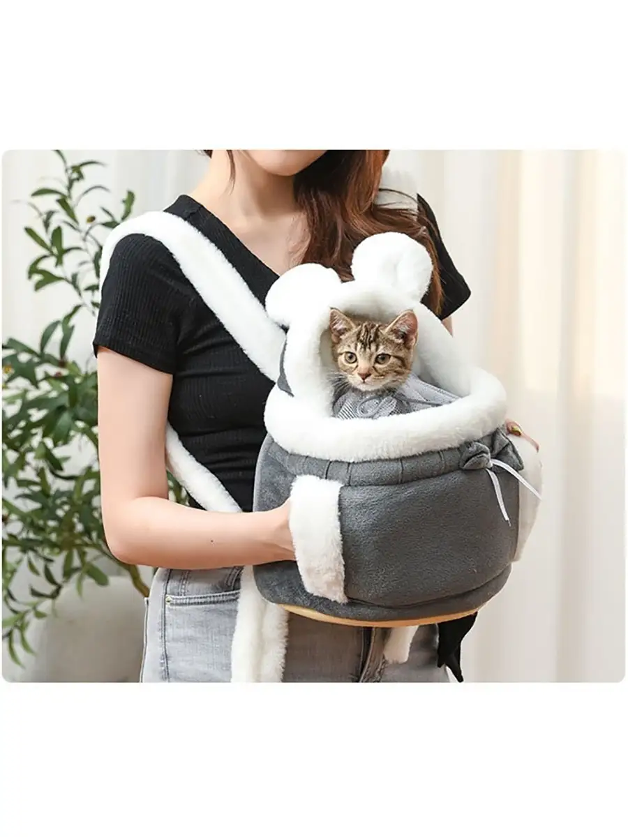 Кошка в переноске. Кошка в переноске. Переноски для котят маленьких. Кошка и собака в переноске. Кошка в переноске.