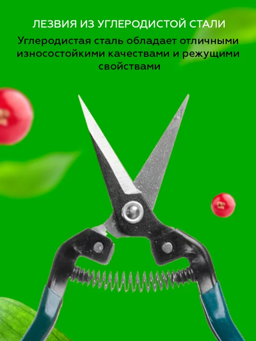 Урожайная сотка Ножницы садовые флористические для цветов и растений, зеленый, фото 2