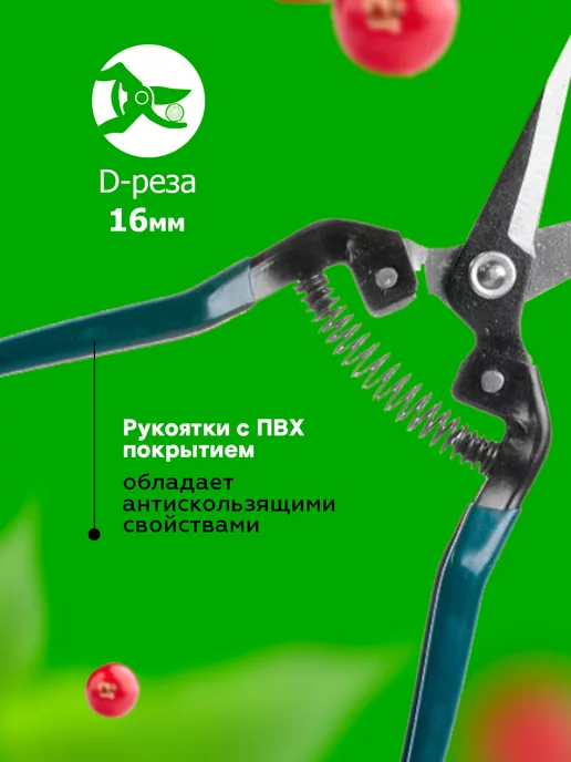 Урожайная сотка Ножницы садовые флористические для цветов и растений, зеленый, фото 4