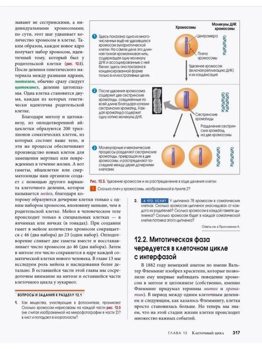 Биология Campbell. Том 1. Химия жизни. Клетка. Генетика Вильямс 42782678  купить за 3 648 ₽ в интернет-магазине Wildberries