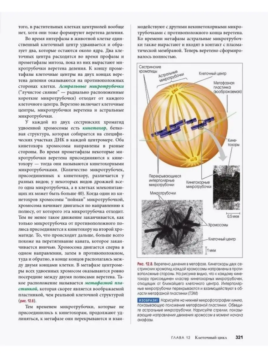 Биология Campbell. Том 1. Химия жизни. Клетка. Генетика Вильямс 42782678  купить за 3 648 ₽ в интернет-магазине Wildberries