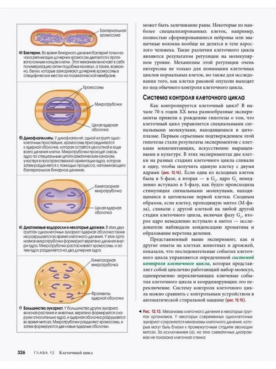 Биология Campbell. Том 1. Химия жизни. Клетка. Генетика Вильямс 42782678  купить за 3 558 ₽ в интернет-магазине Wildberries