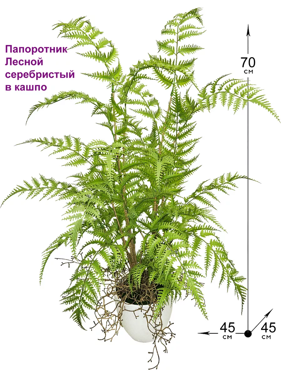 Искусственный папоротник Фитопарк 42947912 купить за 2 951 ₽ в  интернет-магазине Wildberries