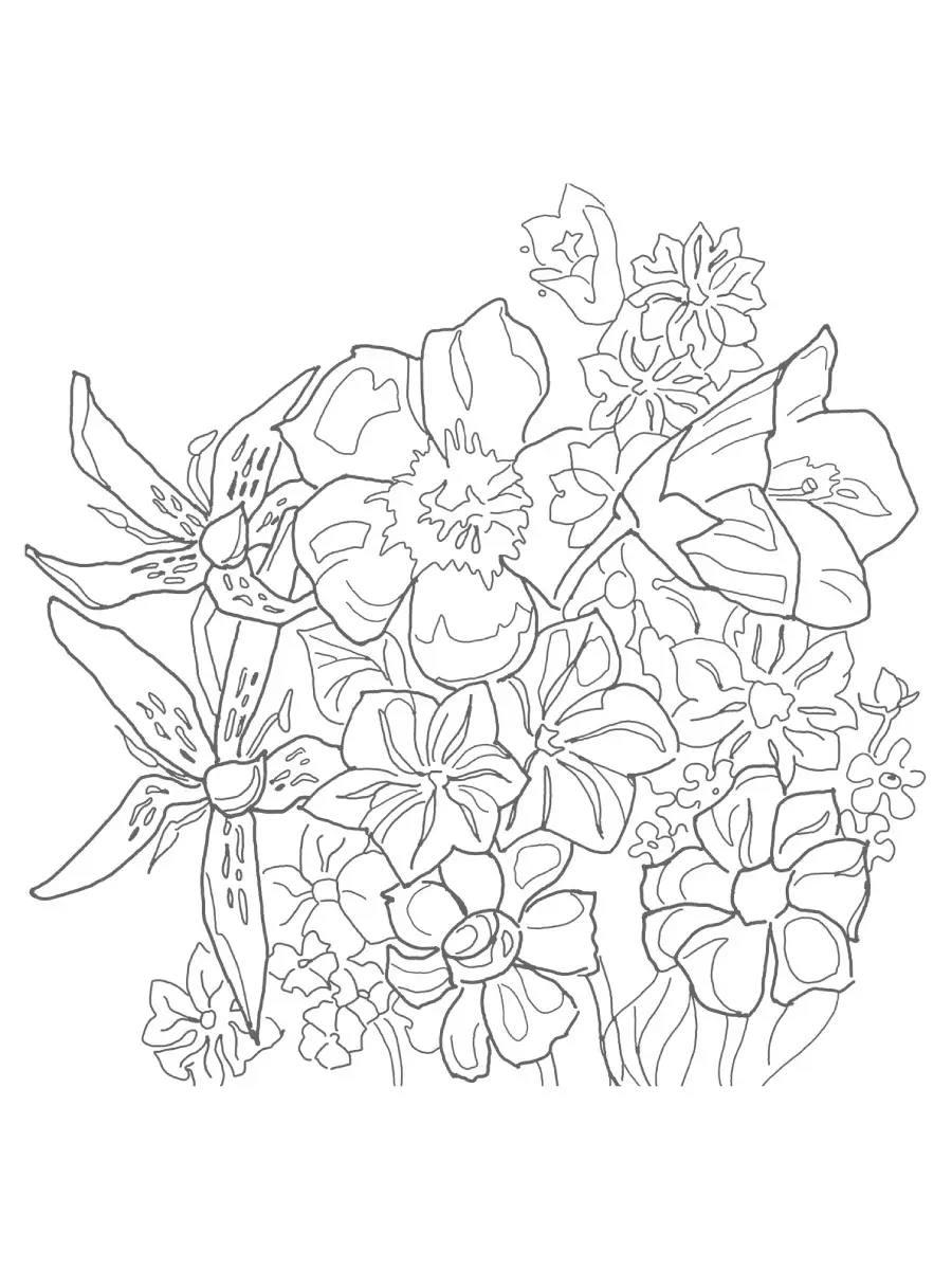 Раскраска для акварели А4, 210*210 мм, 18 листов Hatber Чудесные цветы 18Р4_26271
