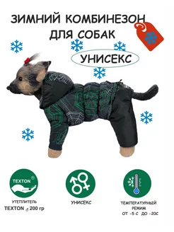 Зимний комбинезон для собак унисекс DOGMODA 42962008 купить за 1 672 ₽ в интернет-магазине Wildberries