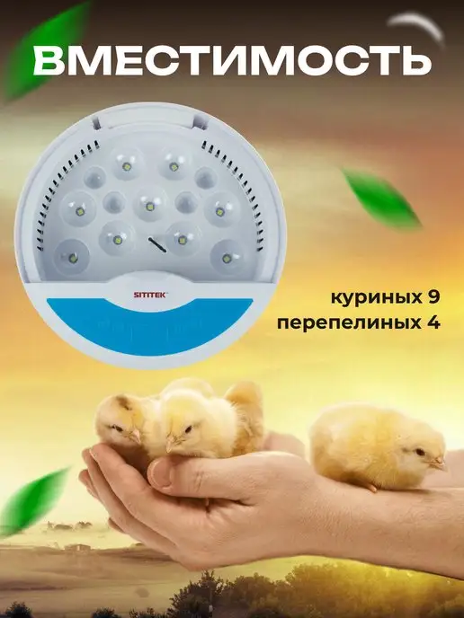 Sititek Инкубатор для яиц автоматический с терморегулятором №9, вариант, фото 2