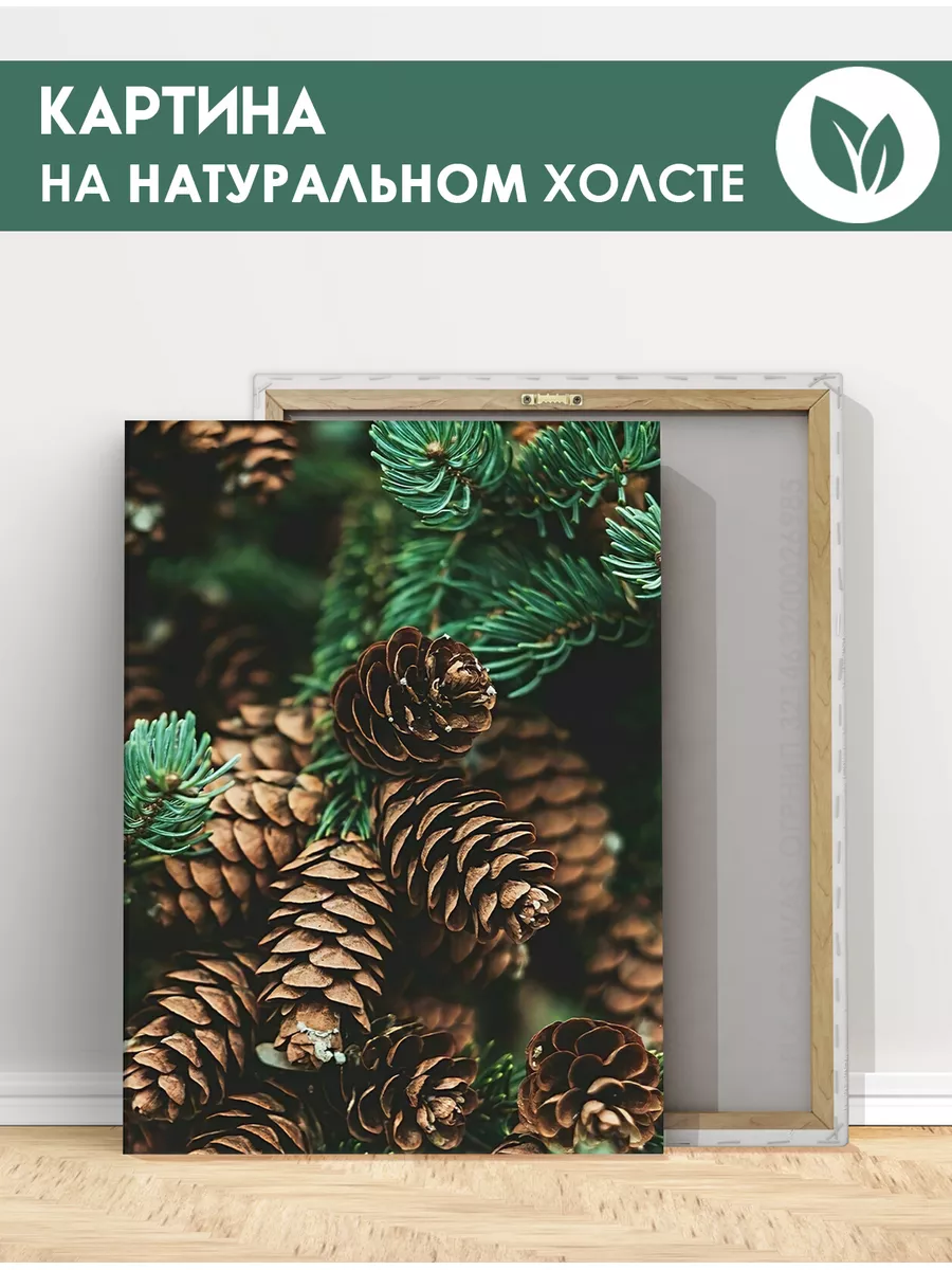 Картина на холсте Еловые шишки в зелёном лесу 20х30 FIX CANVAS 43007689  купить за 1 120 ₽ в интернет-магазине Wildberries