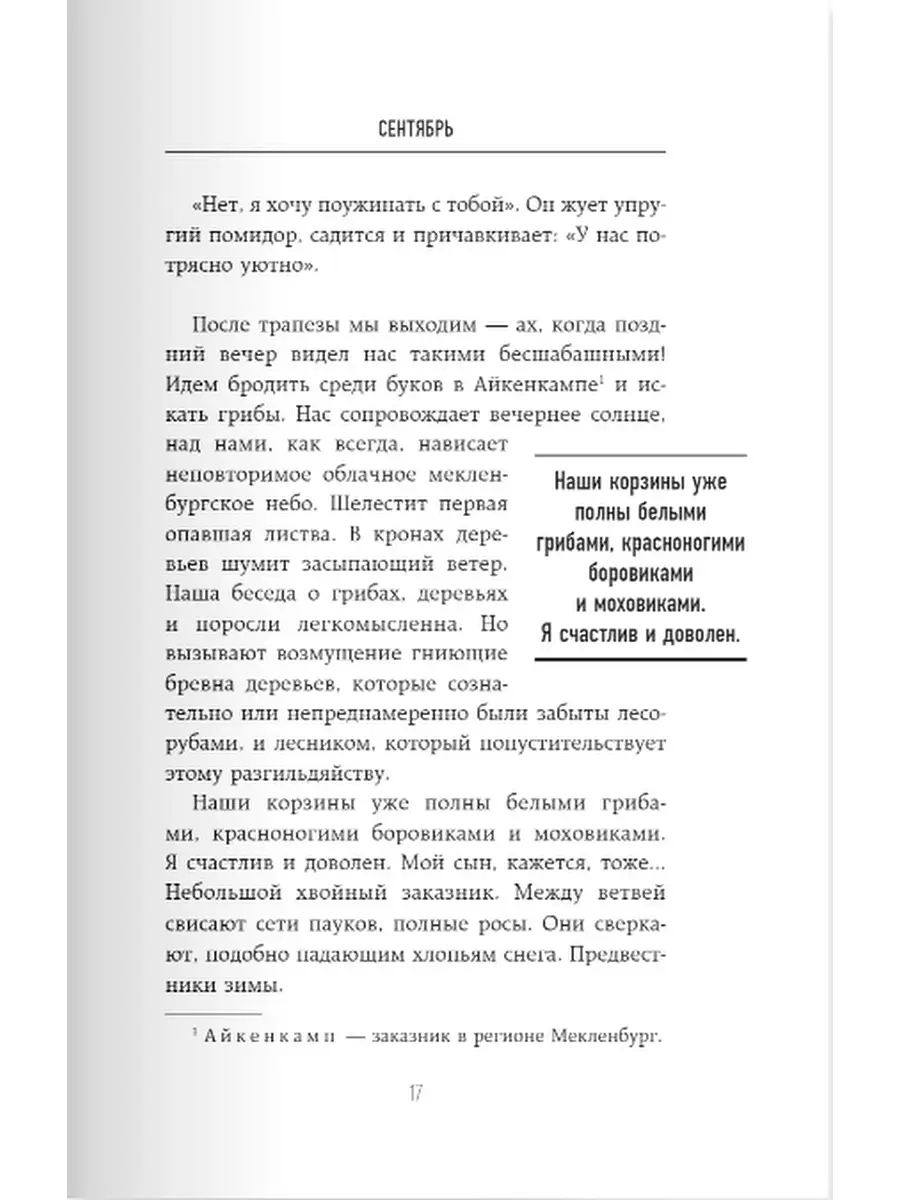 Майк Олдфилд в кресле-качалке. Записки отца Тилля Линдеманна Эксмо 43016268  купить за 751 ₽ в интернет-магазине Wildberries