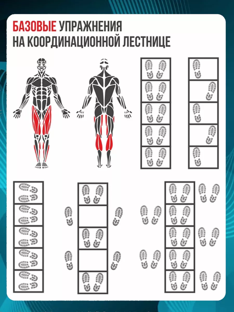 Координационная лестница спортивная NEW_FASHION_LAB 43066292 купить за 1  516 ₽ в интернет-магазине Wildberries