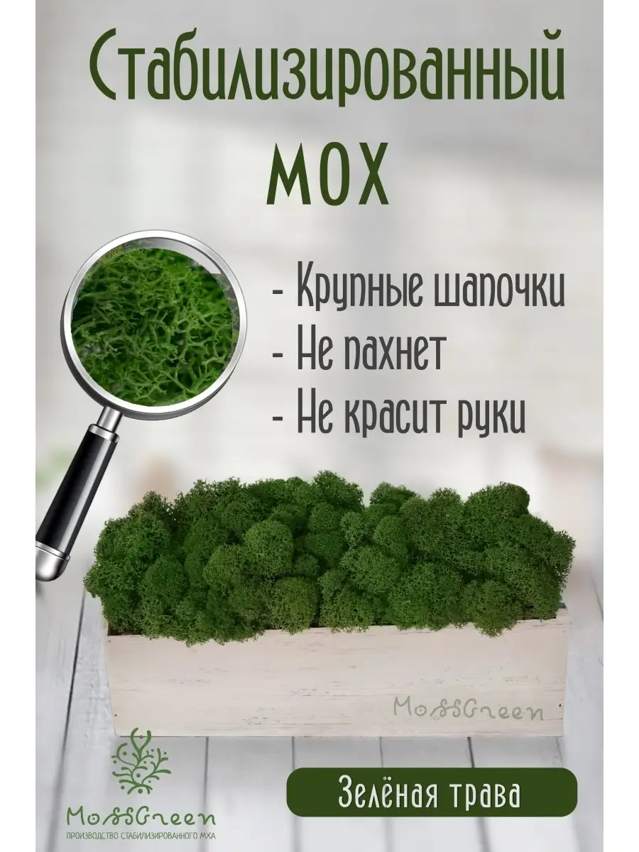 Мох стабилизированный 500 гр/ягеля MossGreen 43111176 купить за 1 149 ₽ в  интернет-магазине Wildberries